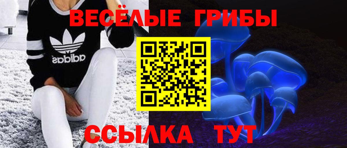 Псилоцибиновые грибы Psilocybine cubensis  Вход с VPN  Новоалександровск 