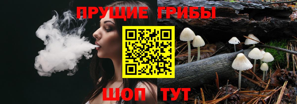 Псилоцибиновые грибы MAGIC MUSHROOMS Новоалександровск