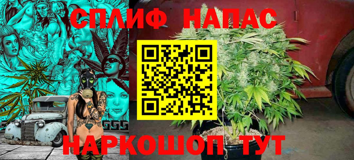 Каннабис Bruce Banner Новоалександровск